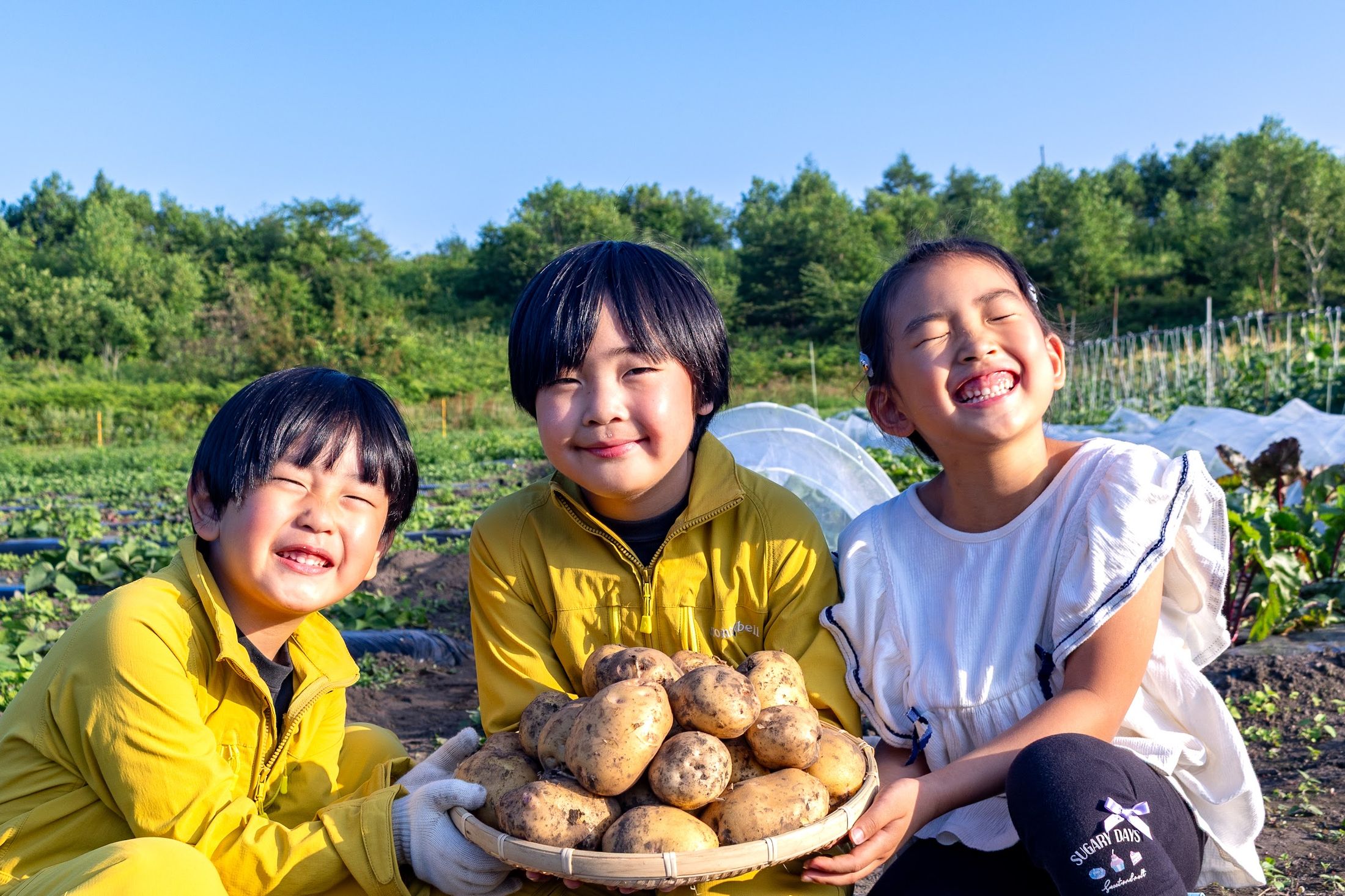 収穫したじゃがいもを掲げる子どもたち
