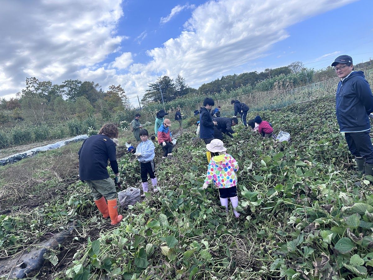 収穫体験のようす