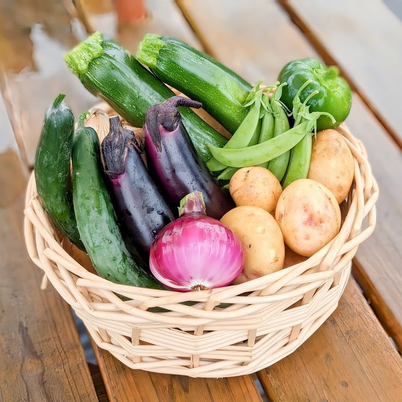 採れたて野菜のかご